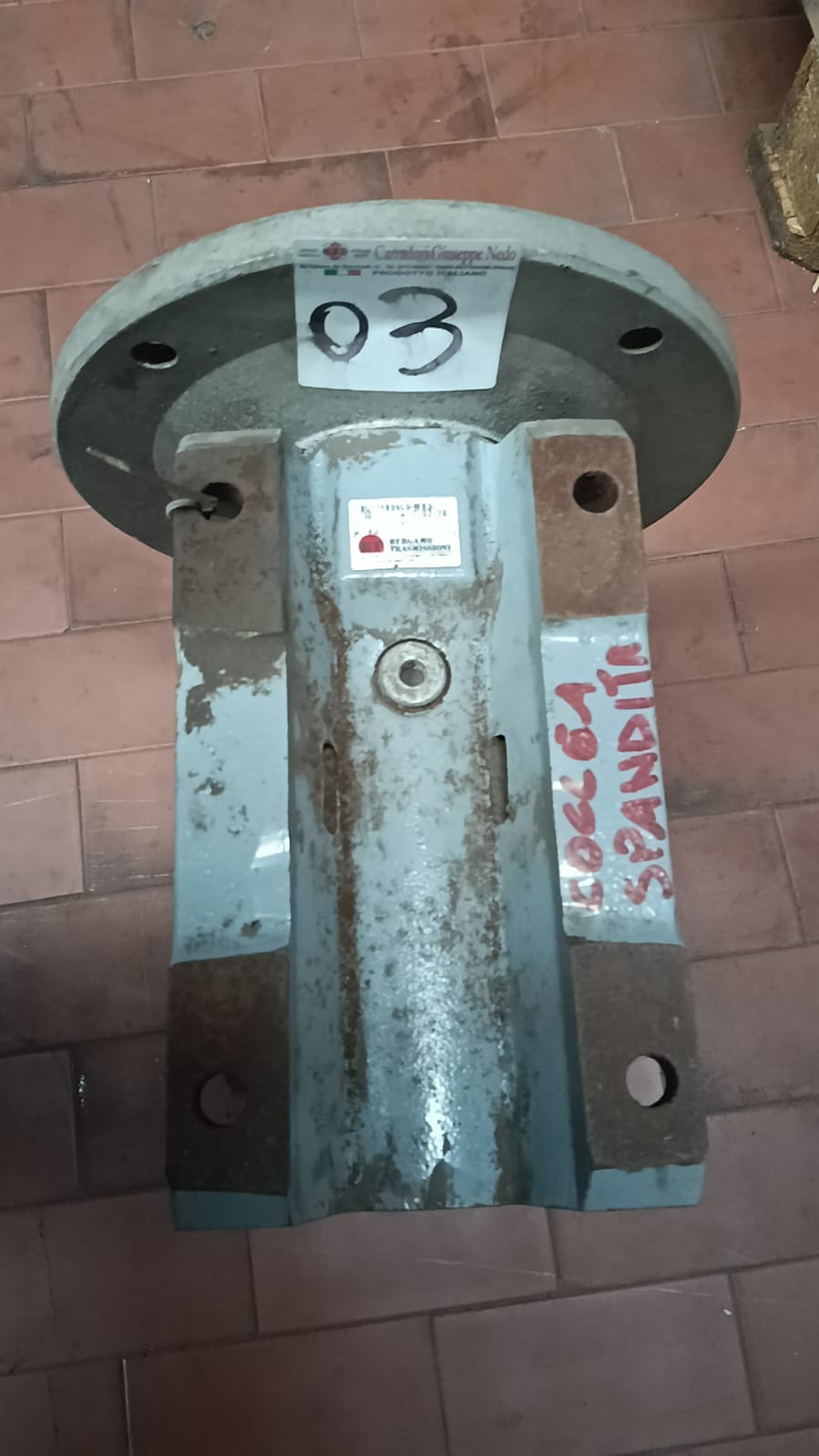 COCLEA SPANDITA